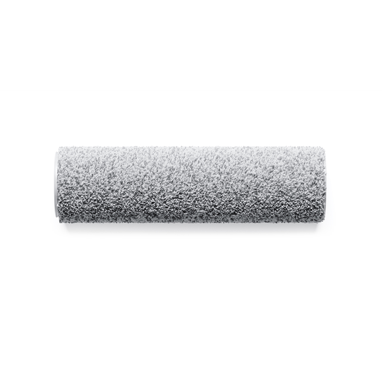 022412_5268RollerMop